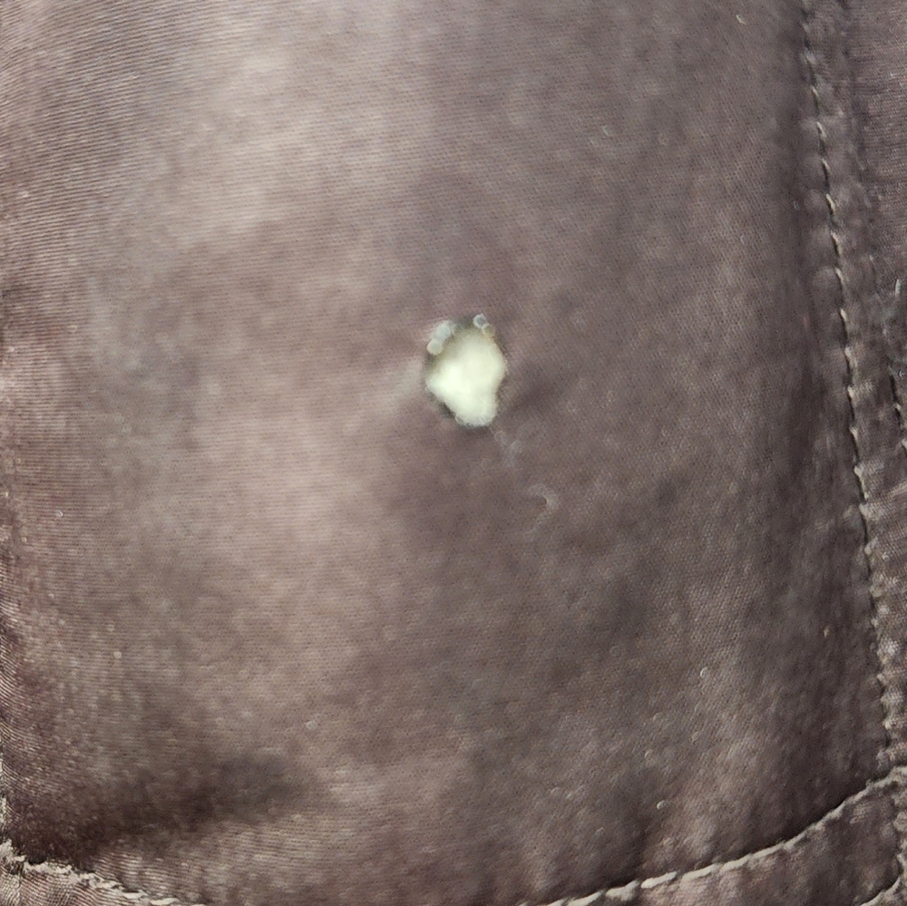 Calvin Klein Light Fall/Winter Jacket - image 5